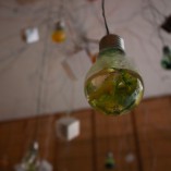 instalacja Habitat, 2012